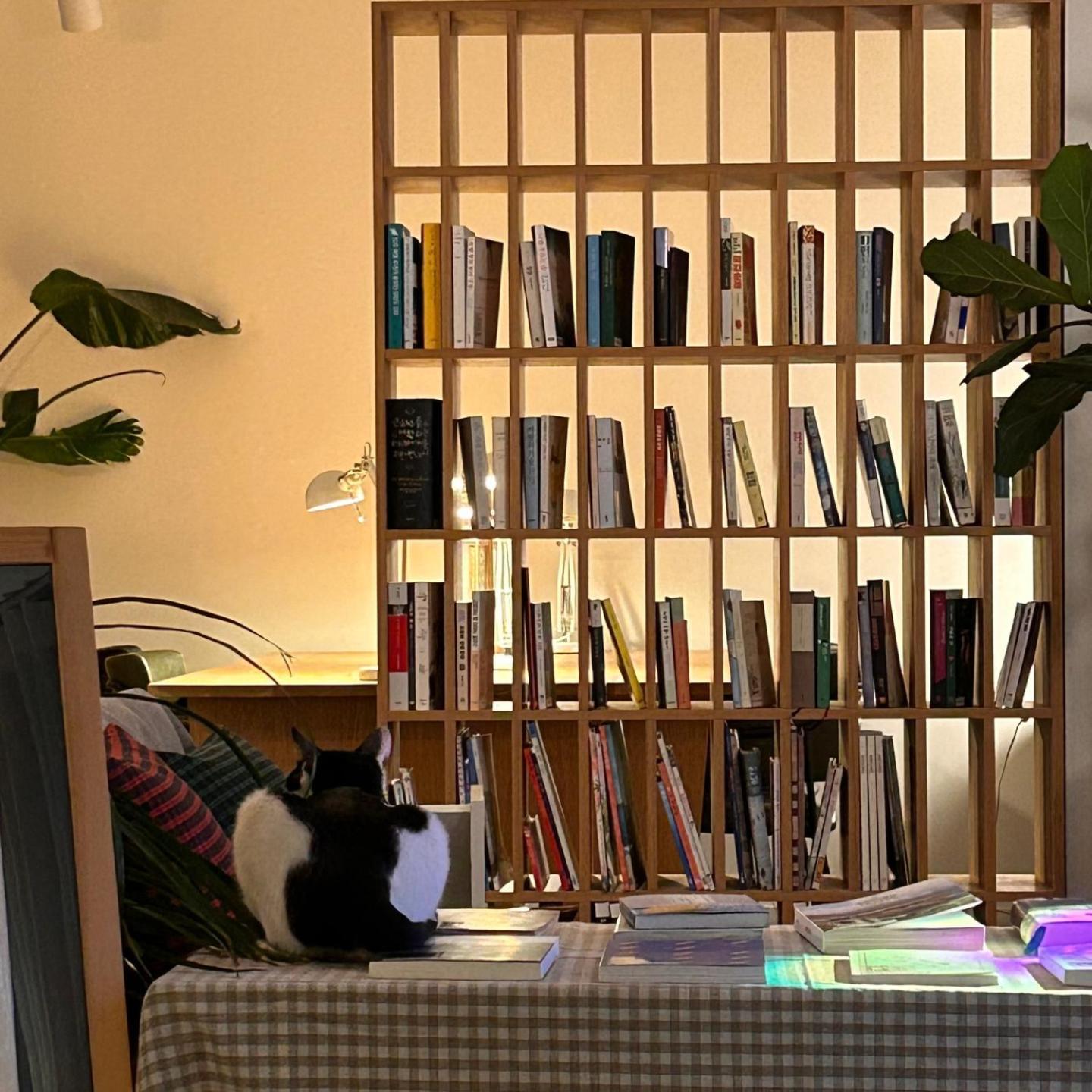 צ'ונצ'און Hostel Espace מראה חיצוני תמונה